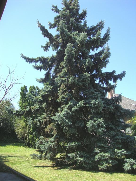 Apartamento Gyöngyvirág Vendégház Balatonboglár Exterior foto